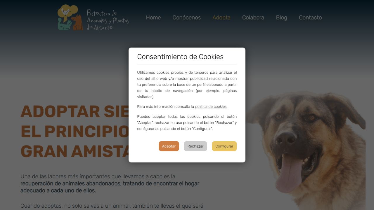 Página de perros en adopción de la Protectora de Alicante
