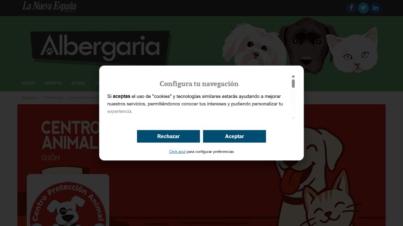 Página del Centro de Protección Animal de Gijón en Albergaria