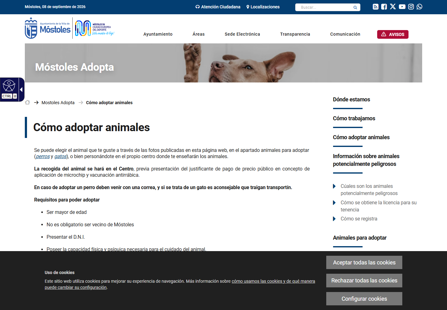 Página oficial Cómo adoptar animales de Móstoles Adopta